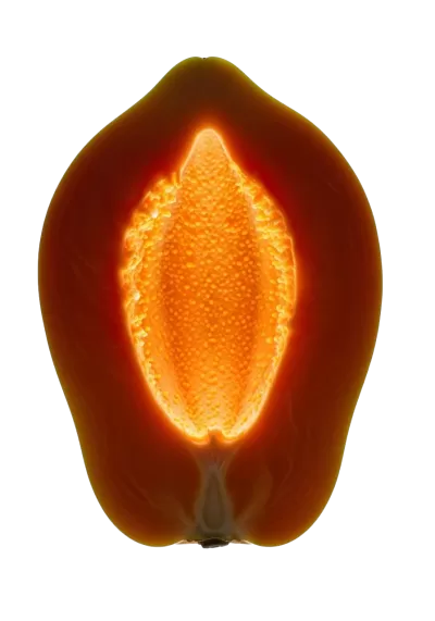 Imagen PNG para descargar